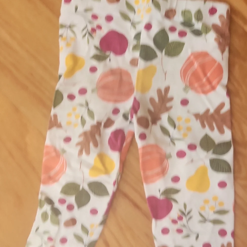 The Children's Place Festive Leggings Set Christmas And Fall 3T